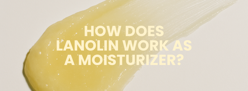 How Does Lanolin Work as a Moisturizer?