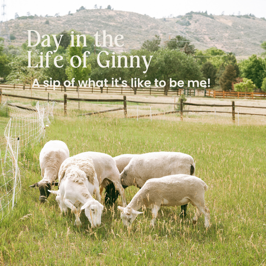 A Day in the Life of Ginny