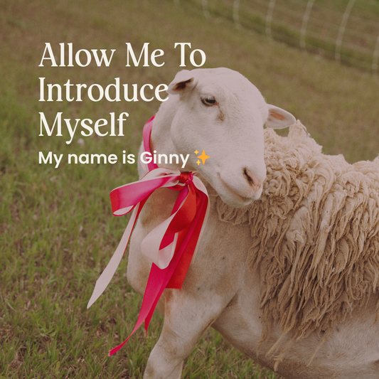 Allow Me to Introduce Myself