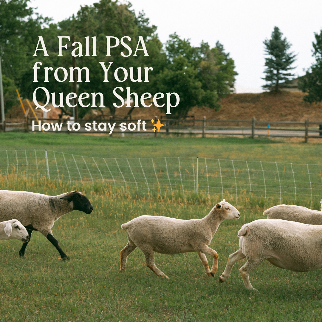 A Fall PSA from Ginny