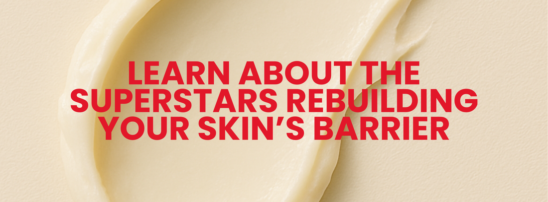 Why Your Skin Craves Fatty Acids (and Where to Find Them)